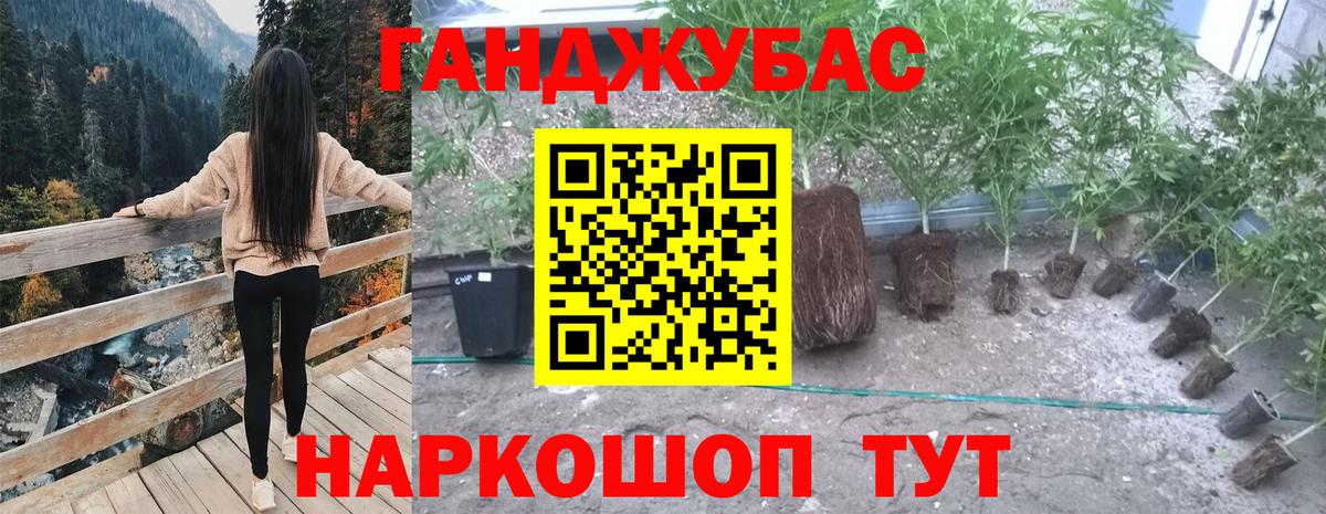 Бошки марихуана конопля Качканар